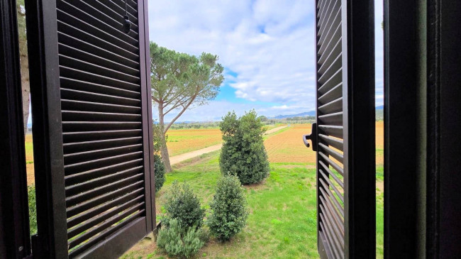 Rustico di ampia superficie da ristrutturare con terreno in vendita a Roccastrada