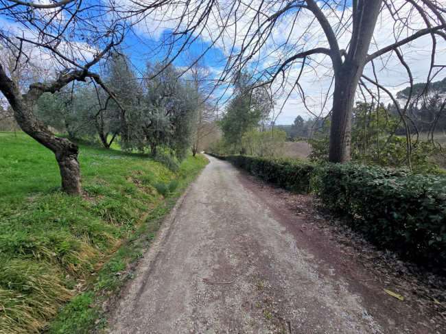 Casale con annessi ampio terreno e vista panoramica in vendita a Fucecchio