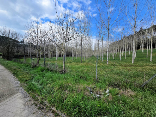 Casale con annessi ampio terreno e vista panoramica in vendita a Fucecchio