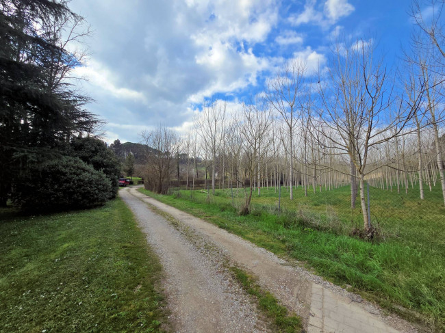 Casale con annessi ampio terreno e vista panoramica in vendita a Fucecchio