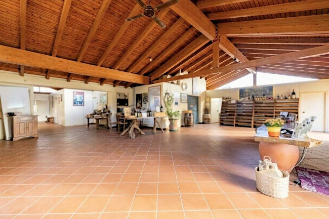 Azienda Vitivinicola di alto livello nel Chianti Classico in vendita a Siena
