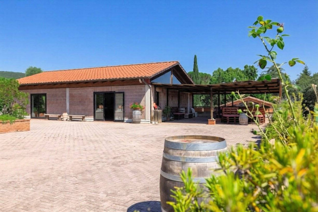 Azienda Vitivinicola di alto livello nel Chianti Classico in vendita a Siena
