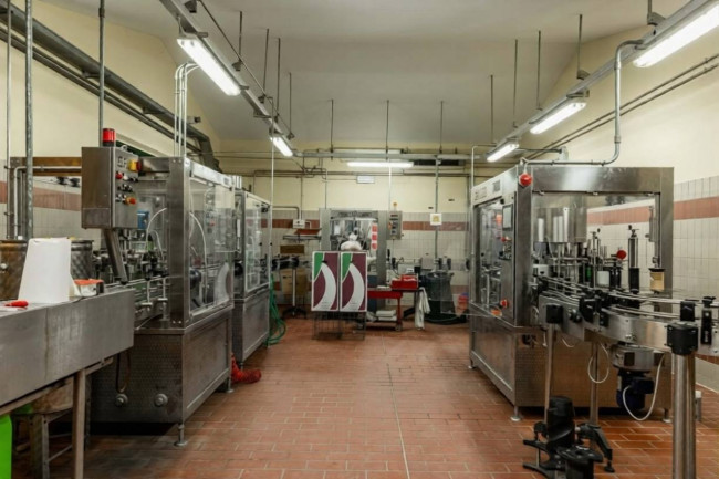 Azienda Vitivinicola di alto livello nel Chianti Classico in vendita a Siena