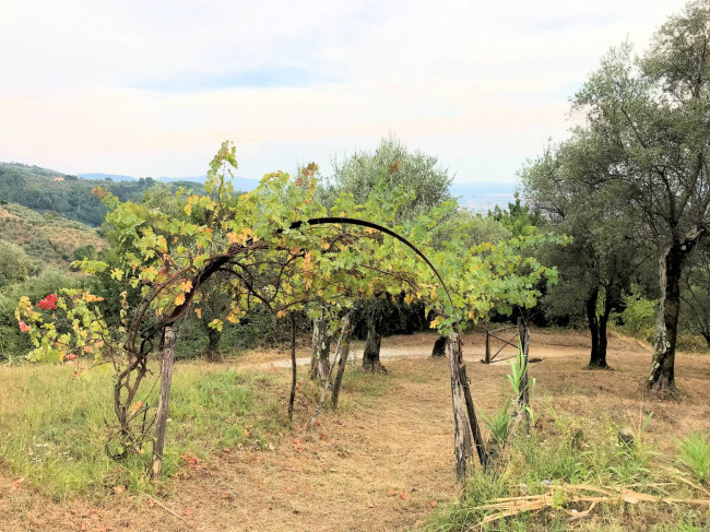 Casa colonica di ampia superficie in posizione dominante con vista panoramica in vendita a Massa e Cozzile