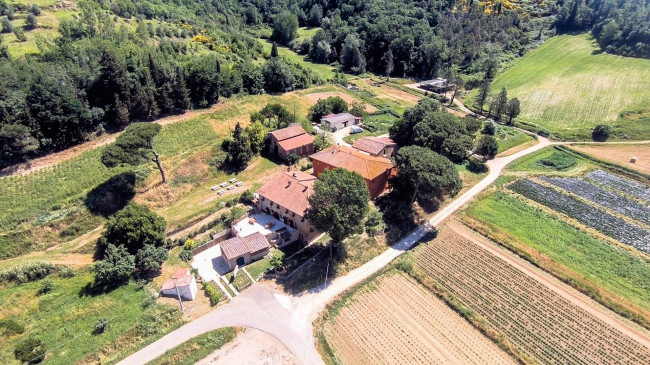 Azienda agricola composta da alcuni fabbricati e ampio terreno seminativo con vigneto in vendita a San Miniato