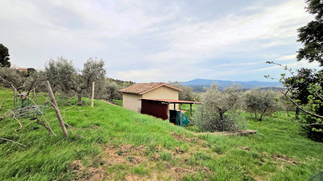 Podere in posizione collinare con ampio terreno e vista panoramica fino al mare in vendita a Roccastrada