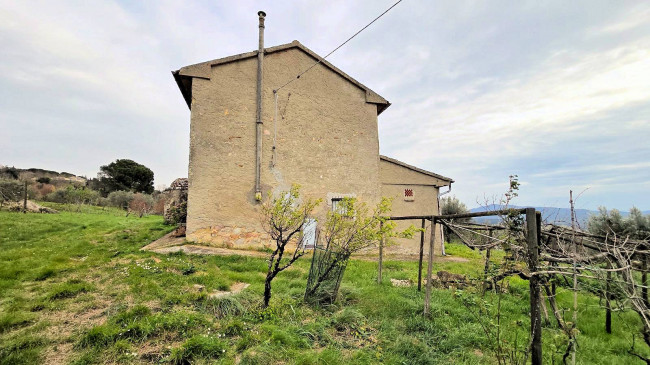 Podere in posizione collinare con ampio terreno e vista panoramica fino al mare in vendita a Roccastrada