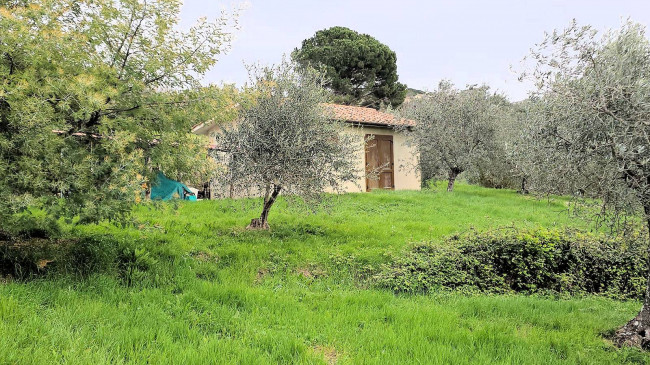 Podere in posizione collinare con ampio terreno e vista panoramica fino al mare in vendita a Roccastrada