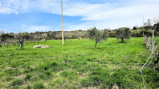 Podere in posizione collinare con ampio terreno e vista panoramica fino al mare in vendita a Roccastrada