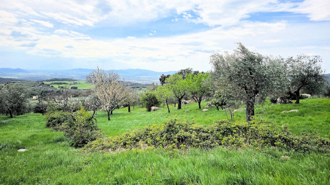 Podere in posizione collinare con ampio terreno e vista panoramica fino al mare in vendita a Roccastrada