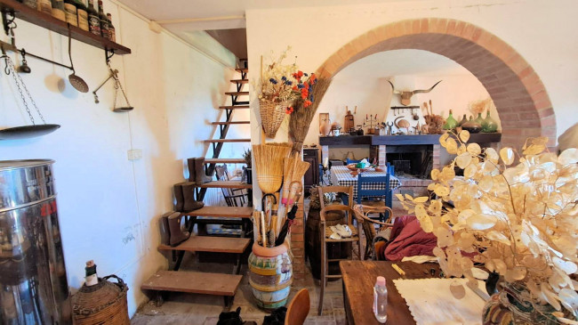 Podere in posizione collinare con ampio terreno e vista panoramica fino al mare in vendita a Roccastrada
