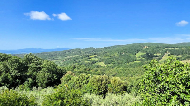 Rustico ristrutturato con ampio terreno e vista panoramica in vendita a Roccastrada