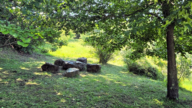 Rustico ristrutturato con ampio terreno e vista panoramica in vendita a Roccastrada