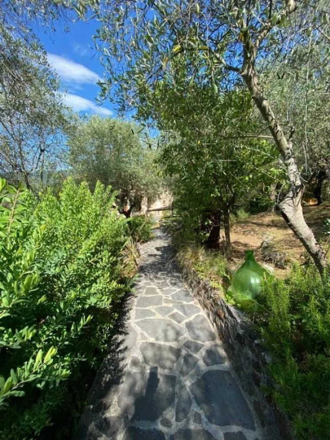 Rustico in stile Toscano con giardino e piscina  in ottima posizione in vendita a Camaiore