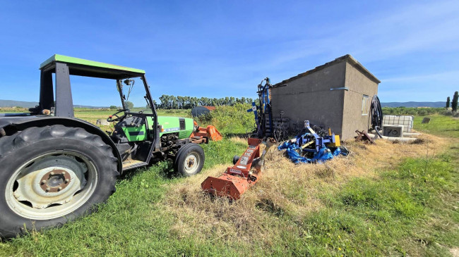 Azienda agricola con vigneto ed oliveto in vendita a Scarlino