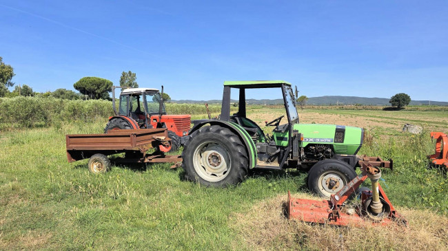 Azienda agricola con vigneto ed oliveto in vendita a Scarlino