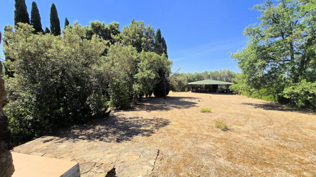 Villa unifamiliare con piscina e ampio terreno in vendita a Scansano