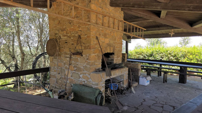 Villa unifamiliare con piscina e ampio terreno in vendita a Scansano