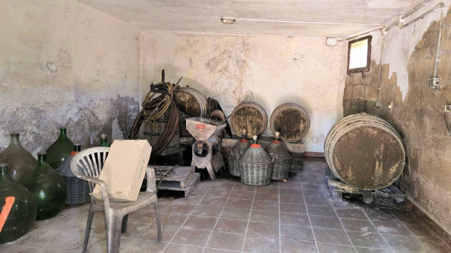 Villa unifamiliare con piscina e ampio terreno in vendita a Scansano
