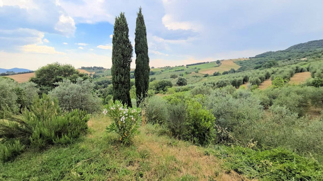 Casa indipendente ristrutturata con terreno e vista panoramica in vendita a Roccastrada