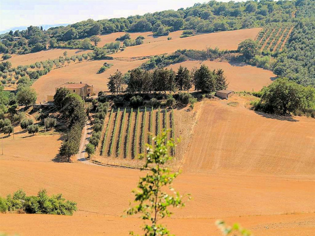 Podere da ristrutturare con ampio terreno in posizione panoramica in vendita a Magliano in Toscana