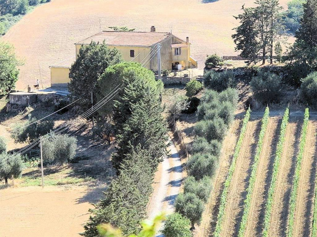 Podere da ristrutturare con ampio terreno in posizione panoramica in vendita a Magliano in Toscana