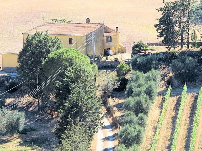 Podere da ristrutturare con ampio terreno in posizione panoramica in vendita a Magliano in Toscana