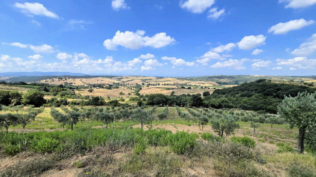 Villa di recente costruzione con ampio terreno e vista panoramica sulla campagna fino al mare in vendita a Magliano in Toscana