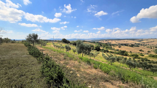 Villa di recente costruzione con ampio terreno e vista panoramica sulla campagna fino al mare in vendita a Magliano in Toscana