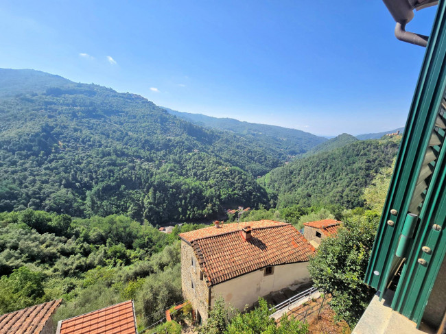 Terratetto completamente ristrutturato con terrazza panoramica in centro storico in vendita a Pescia