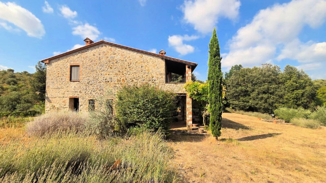 Podere in stile rustico Toscano ristrutturato con ampio terreno e piscina in vendita a Massa Marittima