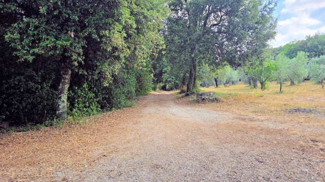 Podere in stile rustico Toscano ristrutturato con ampio terreno e piscina in vendita a Massa Marittima
