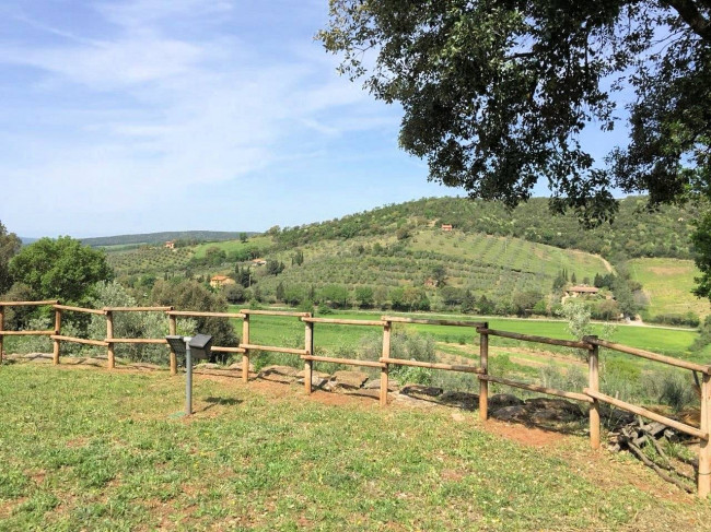Podere in stile rustico Toscano ristrutturato con ampio terreno e piscina in vendita a Massa Marittima