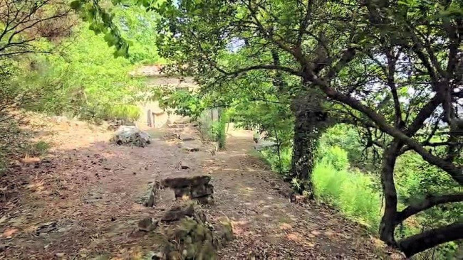 Rustico con ampio terreno e vista panoramica in vendita a Roccastrada