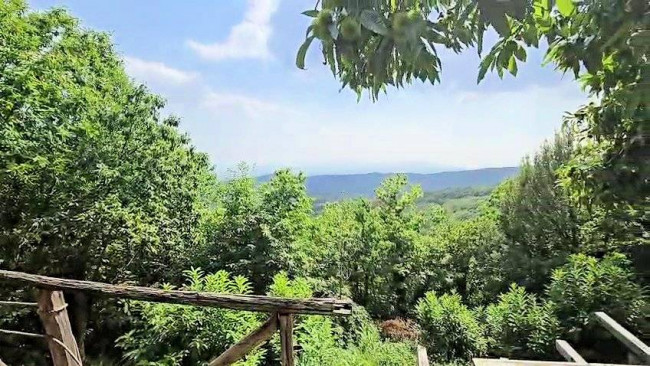Rustico con ampio terreno e vista panoramica in vendita a Roccastrada