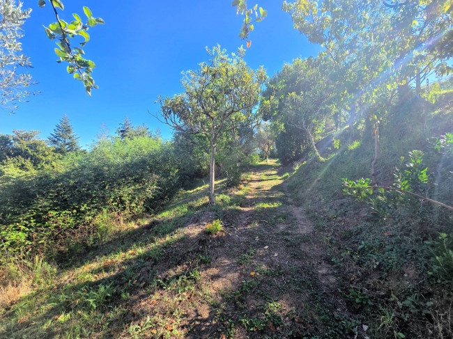 Rustico con ampio terreno e vista panoramica in vendita a Larciano