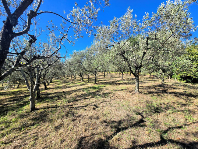 Rustico con ampio terreno e vista panoramica in vendita a Larciano