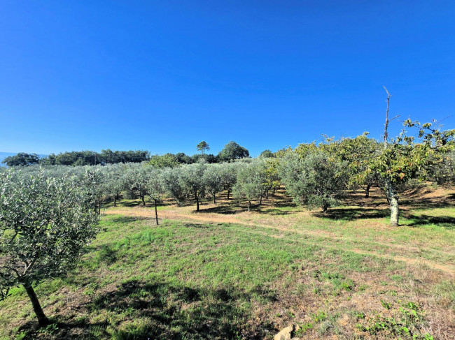 Rustico con ampio terreno e vista panoramica in vendita a Larciano