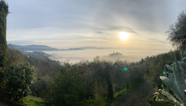 Rustico in stile Toscano con terreno e vista panoramica in vendita a Buggiano