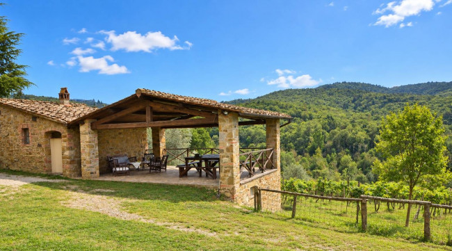 Complesso colonico in posizione panoramica con piscina e  ampio terreno in vendita a Bucine