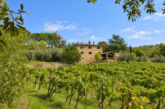 Complesso colonico in posizione panoramica con piscina e  ampio terreno in vendita a Bucine