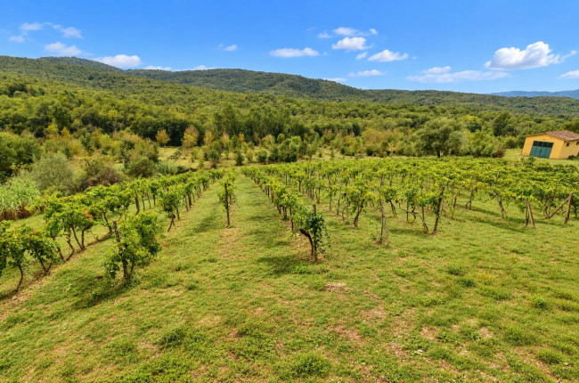 Complesso colonico in posizione panoramica con piscina e  ampio terreno in vendita a Bucine
