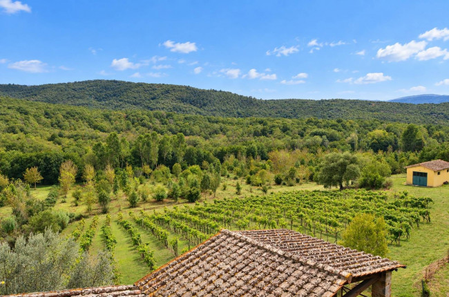 Complesso colonico in posizione panoramica con piscina e  ampio terreno in vendita a Bucine