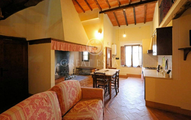 Villa storica con complesso agrituristico di ampia superficie in ottima posizione in vendita a Torrita di Siena
