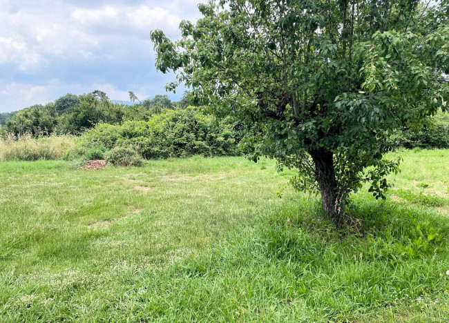 Villa singola con ampio giardino in vendita a Altopascio