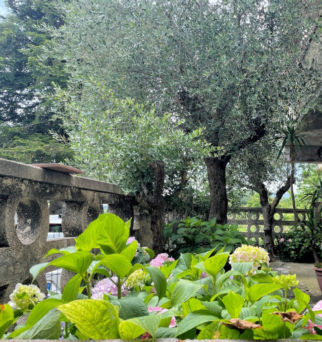 Villa singola con ampio giardino in vendita a Altopascio