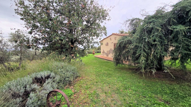 Splendido villino in pietra ristrutturato con ampio terreno e vista suggestiva fino all'isola del Giglio in vendita a Roccastrada