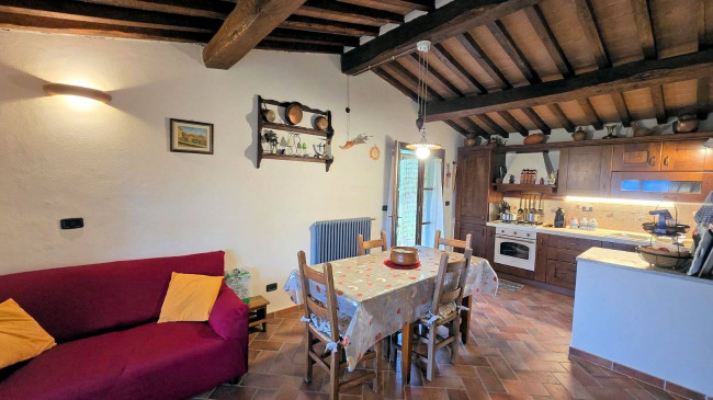 Splendido villino in pietra ristrutturato con ampio terreno e vista suggestiva fino all'isola del Giglio in vendita a Roccastrada