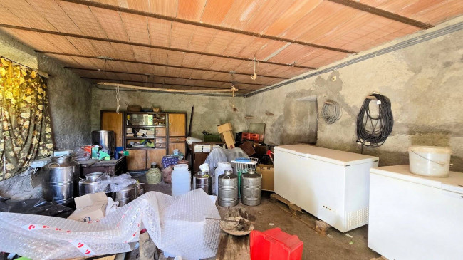 Podere da ristrutturare in posizione collinare in vendita a Roccastrada