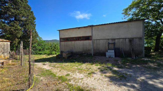 Podere da ristrutturare in posizione collinare in vendita a Roccastrada